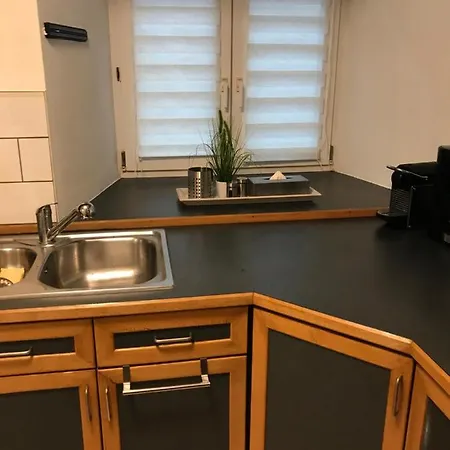 Zum Burgblick 公寓 *